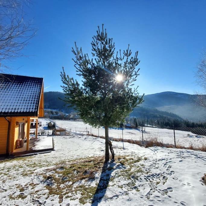 Panorama Sucha Gora ,Lesny Domek Skawica  Kültér fotó