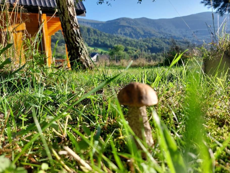 Panorama Sucha Gora ,Lesny Domek Skawica  Kültér fotó